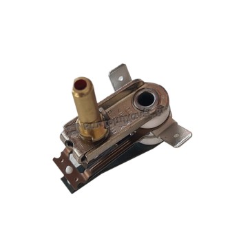 THERMOSTAT FOR IRONS