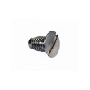 NEEDLE PLATE SCREW